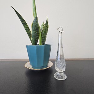 May include: A clear glass bud vase with a textured diamond pattern. The vase has a wide base and a narrow neck. It is sitting on a black surface next to a potted plant.