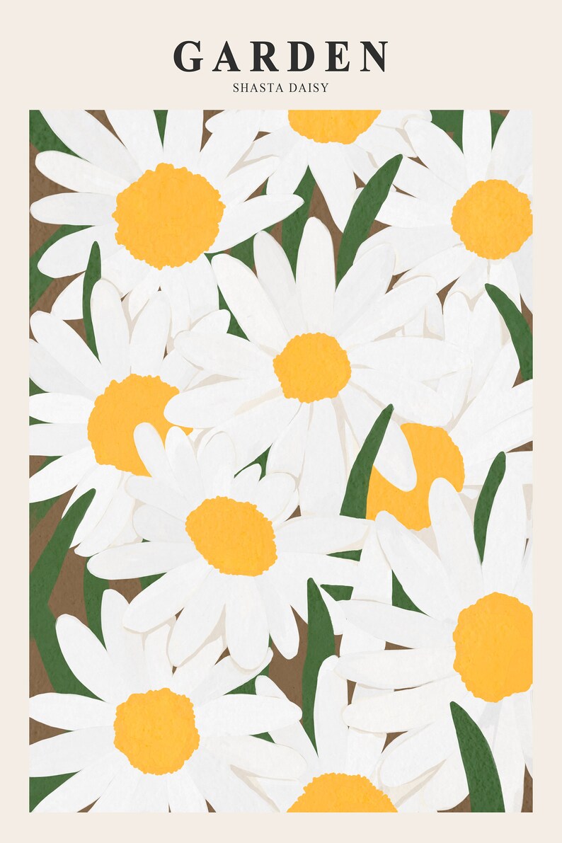 Large Shasta Daisy Flower Printable Wall Art, Vintage Floral Wall Art
