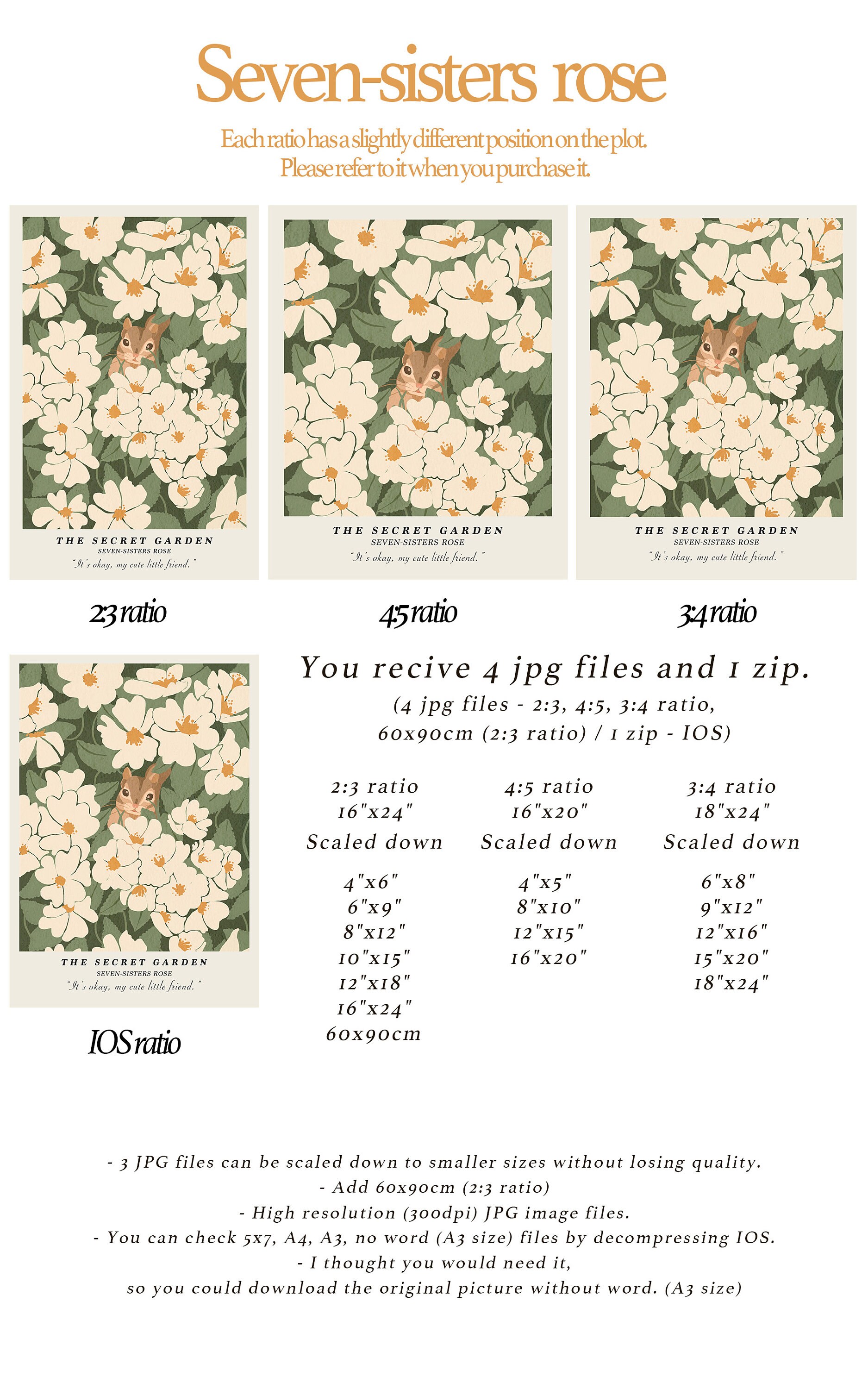 ☺︎ Grande rose blanche citation florale art mural imprimable