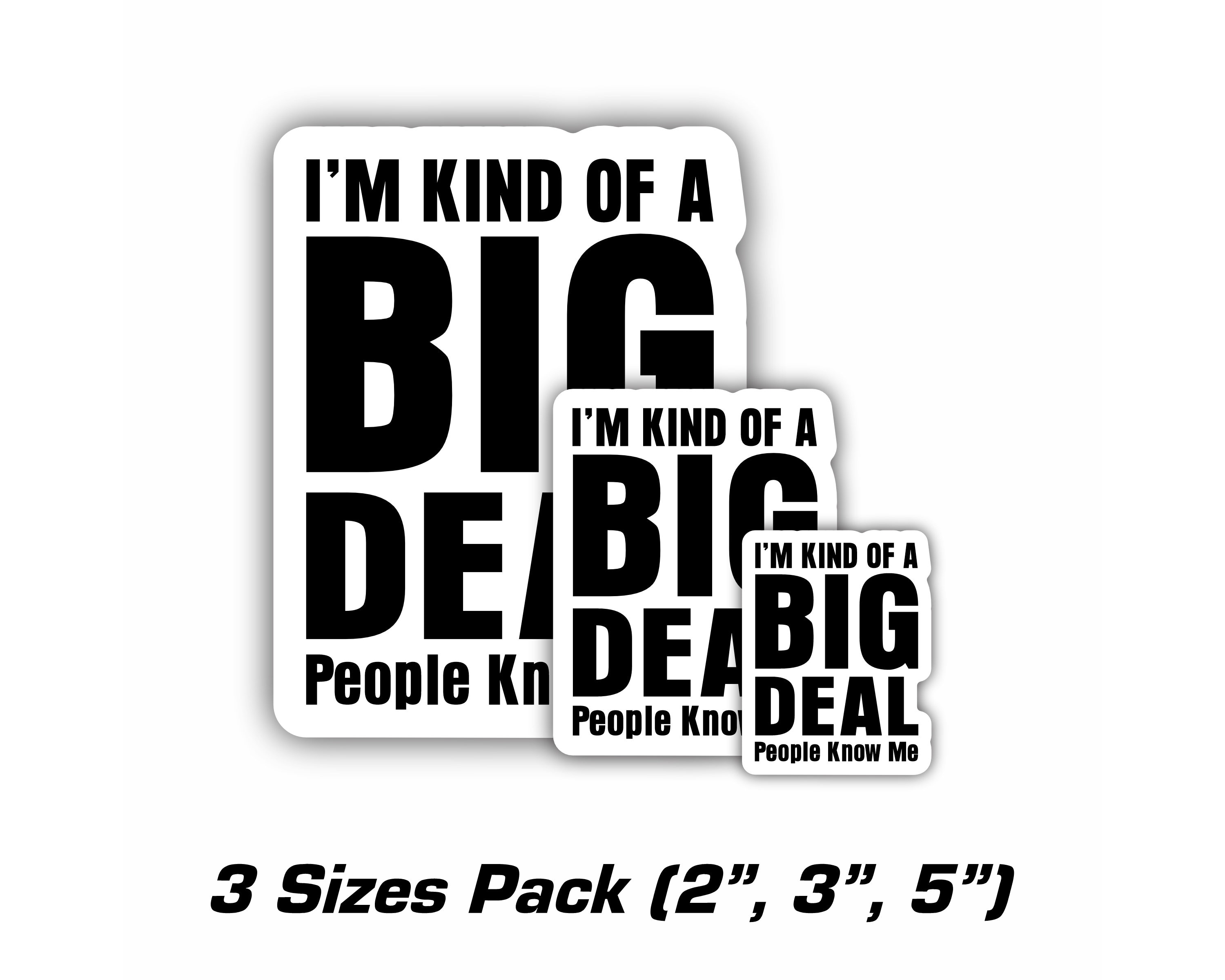 I'm Kind of a Big Deal Vinyl Sticker, Funny Decal - Etsy