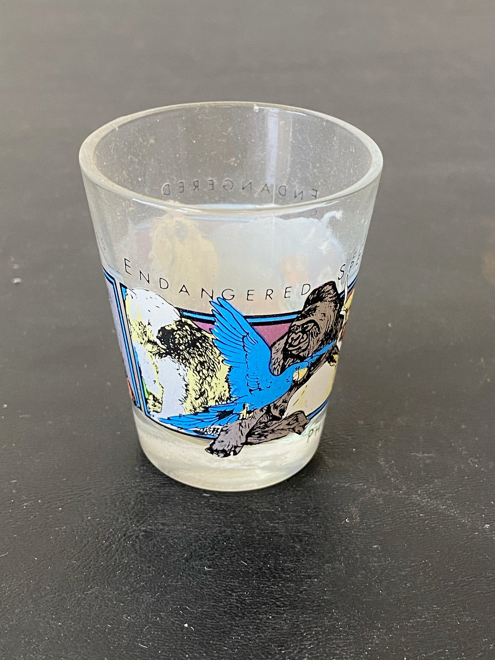 Philadelphia Zoo Shot Glass Etsy