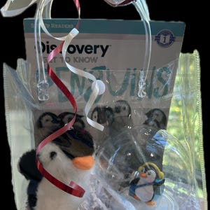 Può includere: Un sacchetto di plastica trasparente con un fiocco di nastro rosso e bianco. Dentro del sacchetto c'è un pinguino di peluche, una palla di neve con un pinguino dentro e un libro intitolato "Discovery Get to Know Penguins".