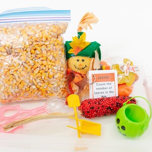 Fall Harvest Sensory Bin - Etsy