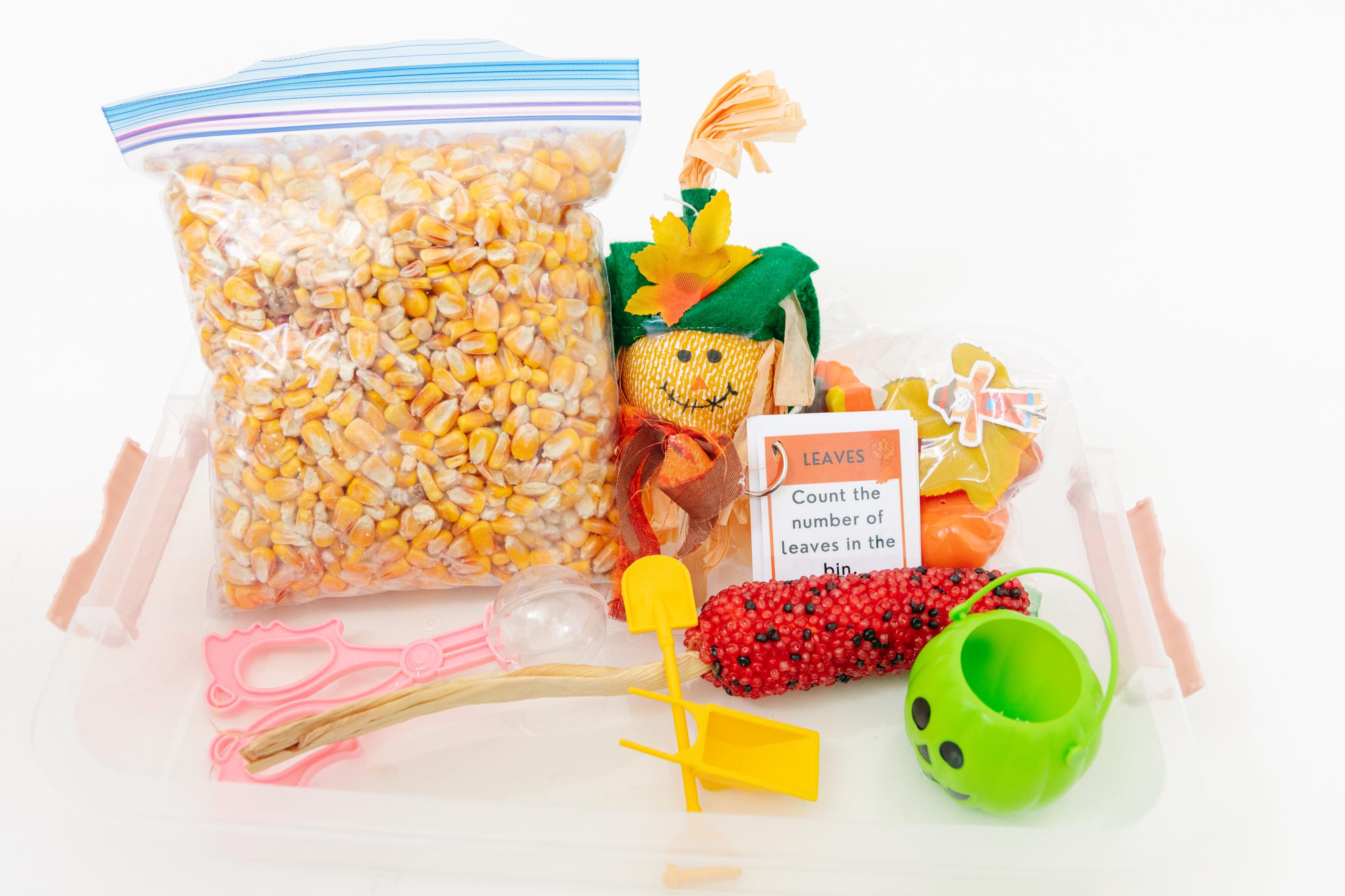 Fall Harvest Sensory Bin - Etsy