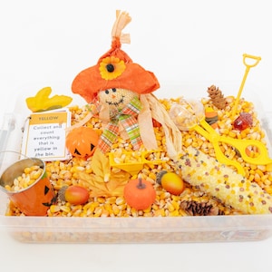 Fall Harvest Sensory Bin - Etsy