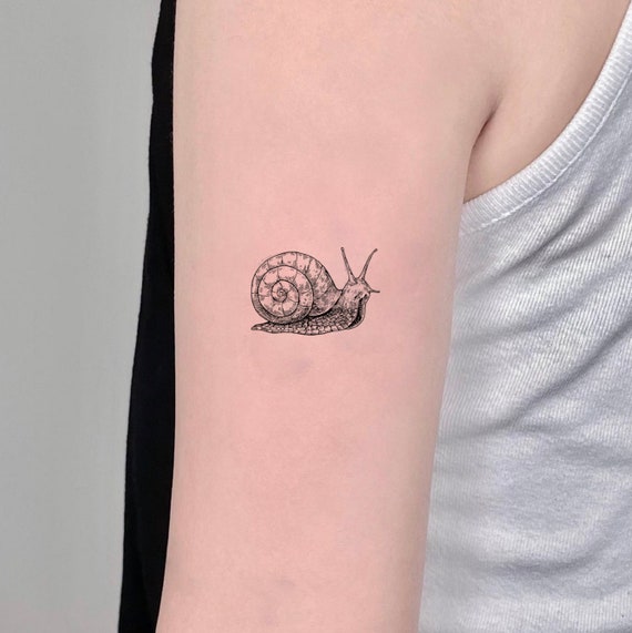 Simple Small Snail Tattoo - Temu