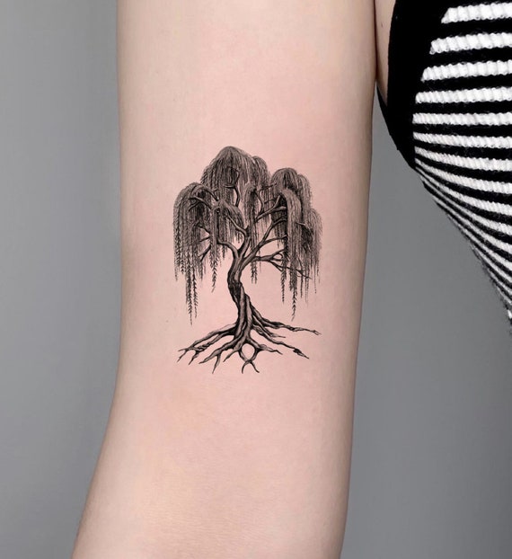 Willow Tree Temporary Tattoo Waterproof Sticker Symbol  Etsy Australia