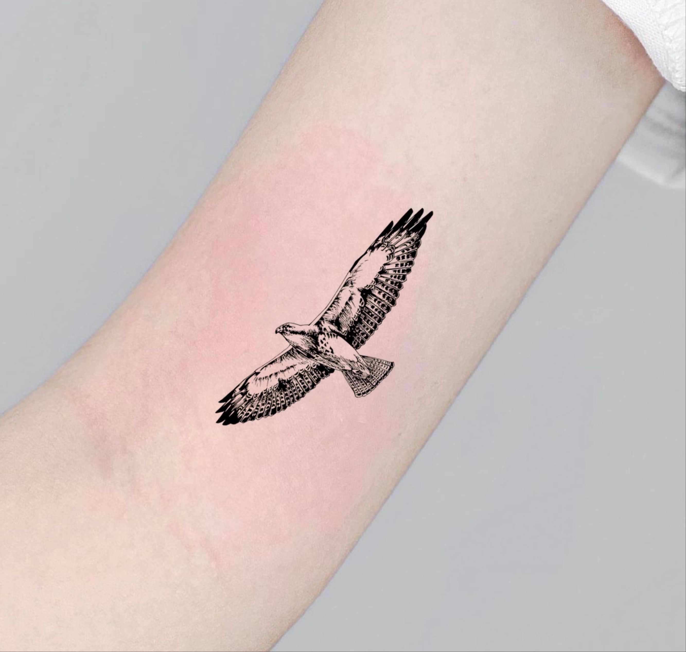 Sleeve tattoo Bald eagle Falcon, eagle transparent background PNG clipart |  HiClipart