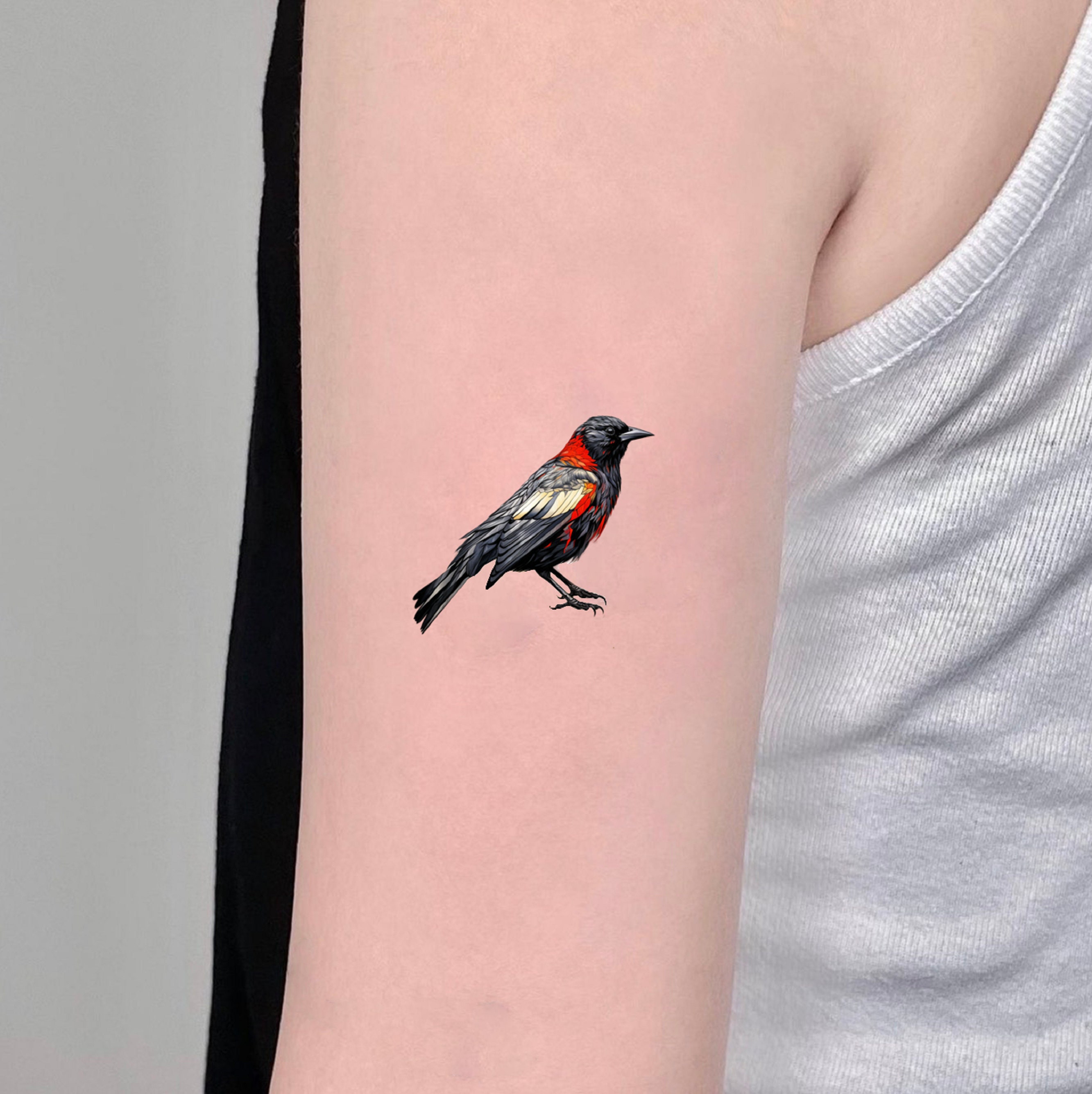Buy Pack of 3 Temporary Tattoo Red Winged Blackbird Tattoo Fake Online in India - Etsy