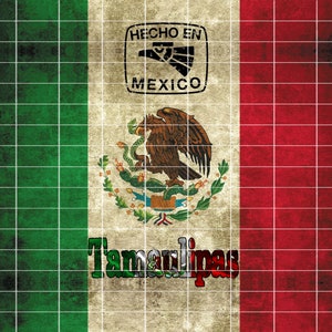 bandera de mexico tamaulipas design