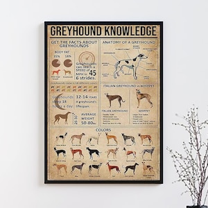 Poster vintage di Greyhound Knowledge senza cornice, regalo per gli amanti dei Greyhound, tutto sui Greyhound, poster di conoscenza vintage, casa, istruzione
