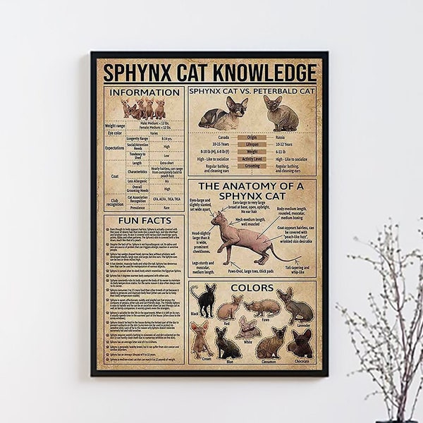 Sphynx Cat Knowledge Vintage Poster, Sphynx Cat Lover Gift, All About Sphynx Cat, Vintage Knowledge Poster, Home Art, Education Wall Decor