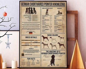 May include: A framed poster titled "German Shorthaired Pointer Knowledge" with detailed information about the breed. The poster features illustrations, breed details, basic colors, and fun facts. It is displayed on a white shelf with decorative elements.