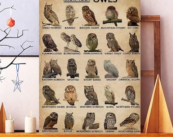 Póster informativo sobre búhos (sin marco), Lámina decorativa para pared «Conoce a tus búhos», Lámina para identificar especies de búhos, Lámina educativa sobre aves, Vida silvestre
