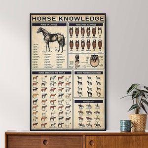 Poster di conoscenza del cavallo senza cornice, regalo per gli amanti dei cavalli, tutto sul cavallo, poster di conoscenza vintage, conoscenza, istruzione