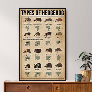 Poster senza cornice di tipi di riccio, regalo per amanti dei ricci, tutto sui ricci, poster di conoscenza vintage, arte dei ricci, casa, istruzione