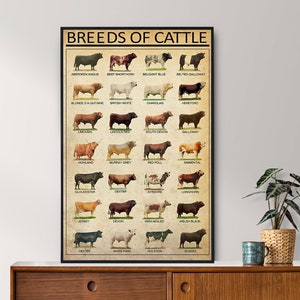 Poster di razze di bovini senza cornice, regalo per amanti del bestiame, arte vintage del bestiame, poster di conoscenza vintage, arte della conoscenza, casa, istruzione