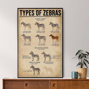 Poster vintage senza cornice di tipi di zebre, regalo per gli amanti delle zebre, poster di zebra, poster di conoscenza vintage, arte della conoscenza, casa, istruzione