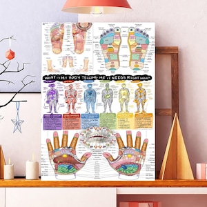 May include: A colorful reflexology chart with diagrams of feet, hands, and the human body. The chart includes the text "WHAT IS MY BODY TELLING ME IT NEEDS RIGHT NOW?" and is displayed on a wooden shelf with decorative items.