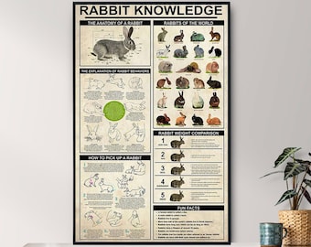 Unframed Rabbit Knowledge Poster, Rabbit Lover Gift, All About Rabbit, Vintage Knowledge Poster, Knowledge Art, Home , Education