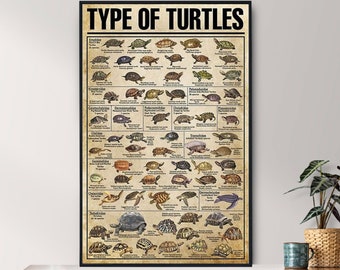 Unframed Types Of Turtles Vintage Poster, Turtle Lover Gift, Turtle Poster, Vintage Knowledge Poster, Knowledge Art, Home Art, Education