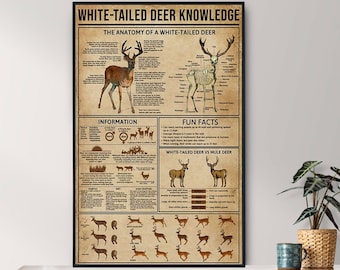 Affiche de connaissances sans cadre sur le cerf de Virginie, cadeau pour amateur de cerfs de Virginie, Tout sur le cerf de Virginie, affiche de connaissances, éducation
