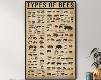 Affiche vintage types d'abeilles sans cadre, cadeau pour amoureux des abeilles, Tout sur les abeilles, affiche vintage du savoir, art du savoir, maison, éducation