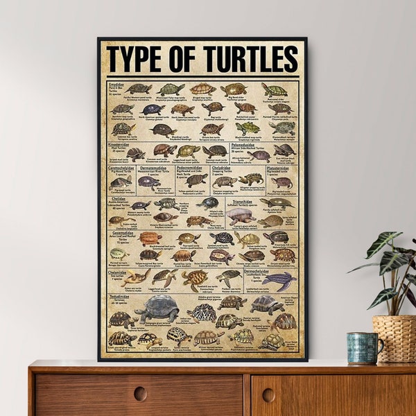 Types d’affiche vintage de tortues, cadeau d’amant de tortue, affiche de tortue, affiche de connaissances vintage, art de la connaissance, art de la maison, décoration murale éducative