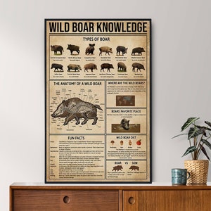 Unframed Wild Boar Knowledge Vintage Poster, Wild Boar Lover Gift, All About Wild Boar, Knowledge Retro Poster, Home , Education