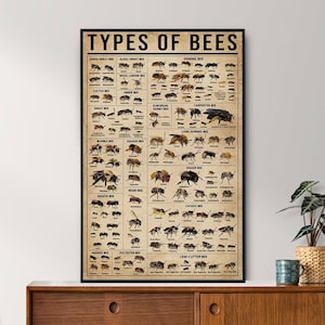 Poster vintage senza cornice sui tipi di api, regalo per gli amanti delle api, tutto sulle api, poster sulla conoscenza vintage, arte della conoscenza, casa, istruzione