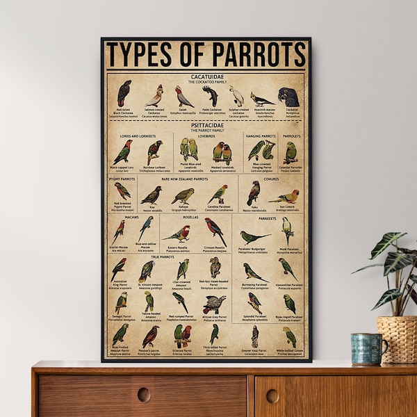 Types d'affiche vintage de perroquets, cadeau d'amant de perroquet, affiche de perroquet, affiche vintage de connaissance, art de connaissance, art à la maison, décor de mur d'éducation