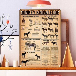 Poster vintage sulla conoscenza degli asini, tipi di arte vintage sulla conoscenza degli asini, poster sugli asini, poster sull'agricoltura, regalo per gli amanti degli asini, anatomia dell'asino
