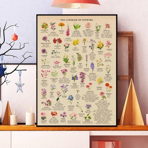 Bloem taal betekenis grafiek poster, retro wilde bloemen planten kunst aan de muur print, botanische poster, woonkamer Home decor, natuur kwekerij print