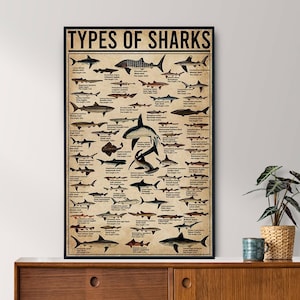 Poster vintage sui tipi di squali senza cornice, regalo per gli amanti degli squali, poster sugli squali, poster sulla conoscenza vintage, arte della conoscenza, casa, istruzione