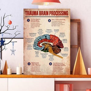 May include: A framed poster titled "TRAUMA BRAIN PROCESSING" displays an illustrated diagram of the brain with labeled sections. The poster is on a shelf with decorative items, including a black tree with ornaments, candles, and geometric shapes.