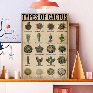 Arten von Kaktus Poster, Kaktus Wissensplakat, südwestliche Wüsten Kaktus Wandkunst, pädagogisch wertvolle Wandkunst, botanische Kaktus Wüste Dekor