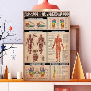 Puede incluir: Un póster enmarcado titulado "MASSAGE THERAPIST KNOWLEDGE" con gráficos anatómicos detallados. El póster incluye gráficos de reflexología de pies, manos y columna vertebral, junto con gráficos del sistema muscular y del dolor emocional.