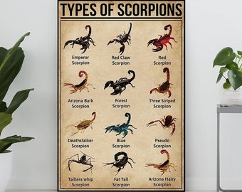 Types d'affiche vintage de scorpions, cadeau d'amant de scorpion, impression d'art de scorpion, affiche de connaissance, art de connaissance, déco de maison, déco de mur d'éducation