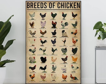 Breeds Of Chicken Poster, Chicken Lover Gift, Chicken Retro Print, Vintage Knowledge Poster, Knowledge Art, Education Wall Deco, Home Deco