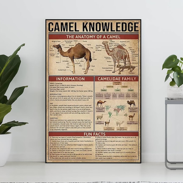 Camel Knowledge Vintage Poster, Camel Lover Gift, All About Camel, Knowledge Poster, Knowledge Art, Home Wall Decor, Education Wall Decor