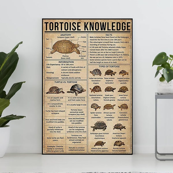 Tortoise Knowledge Poster, Tortoise Lover Gift, All About Tortoise, Knowledge Poster, Knowledge Art, Home Wall Decor, Education Wall Decor