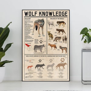 Poster di conoscenza del lupo senza cornice, regalo per gli amanti del lupo, tutto sul lupo, poster di conoscenza vintage, conoscenza, casa, istruzione