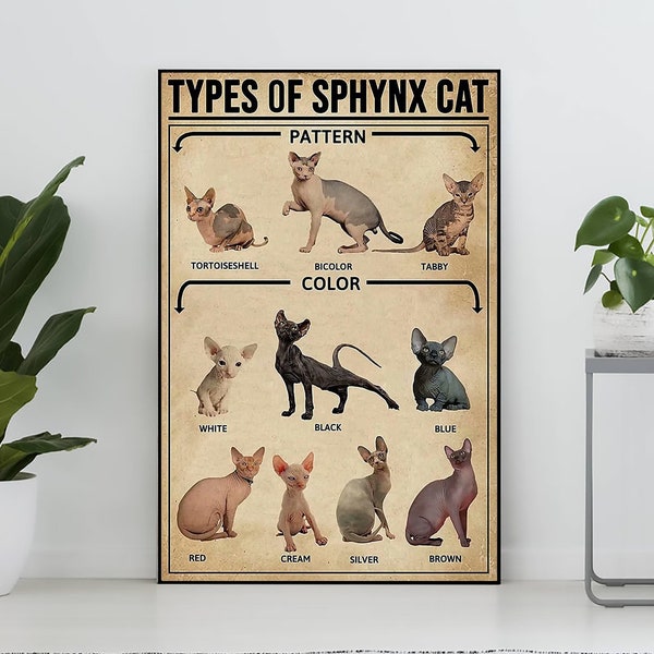 Types Of Sphynx Cat Vintage Poster, Sphynx Cat Lover Gift, Sphynx Cat Art Print, Vintage Knowledge Poster, Home Art, Education Wall Decor