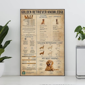 Golden Retriever Knowledge Vintage Poster, All About Golden Retriever, Golden Retriever Art, Golden Retriever Lover Gift,Education Wall Deco