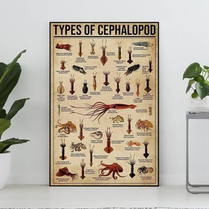 Types Of Cephalopod Poster, Cephalopod Lover Gift, Cephalopod Art Print, Knowledge Poster, Knowledge Art, Home Wall Art, Education Wall Deco