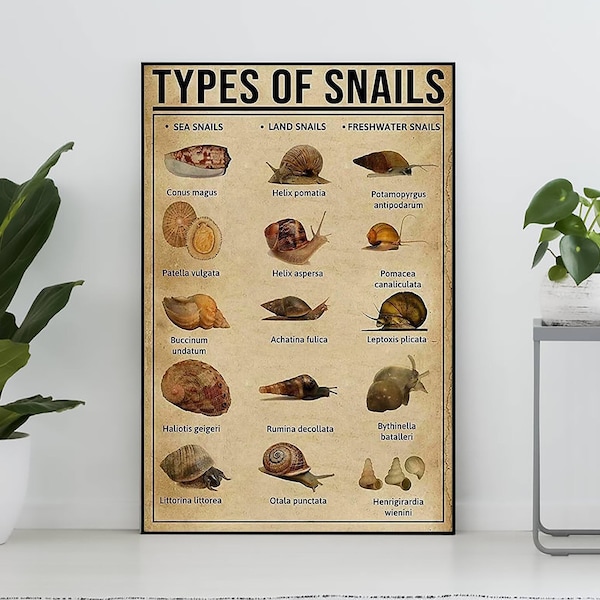 Types Of Snails Vintage Poster, Snail Lover Gift, Snail Art Print, Knowledge Poster, Knowledge Art, Home Wall Decor, Education Wall Decor