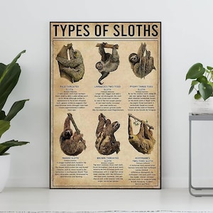 Types Of Sloths Vintage Poster, Sloth Lover Gift, Sloth Art Print, Sloth Vintage Print, Knowledge Poster, Home Decor, Education Wall Decor