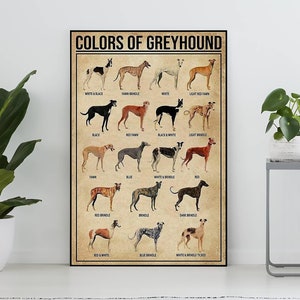 Poster vintage di colori del levriero senza cornice, regalo per gli amanti del levriero, levriero, poster di conoscenza vintage, arte murale per la casa, istruzione