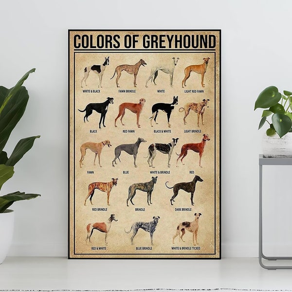 Colors Of Greyhound Vintage Poster, Greyhound Lover Gift, Greyhound Wall Art, Vintage Knowledge Poster, Home Wall Art, Education Wall Decor