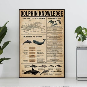 Poster di conoscenza sui delfini senza cornice, regalo per gli amanti dei delfini, tutto sui delfini, poster di conoscenza, arte della conoscenza, casa, muro educativo